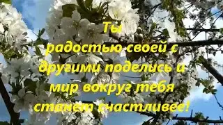 В моём саду.
