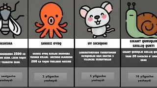 Eng uzoq yashaydigan jonzotlar