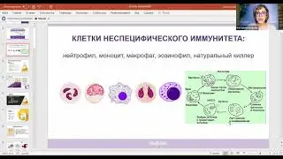 Wellness-эксперт Катерина Щедова. Иммунитет