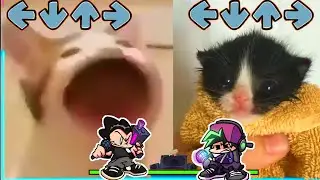 NEO(Philly) But TOWEL CAT VS POP CAT - Friday Night Funkin' Mod Neomod Week 3 VS Pico