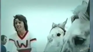 Eagles Fly   Bay City Rollers Woody