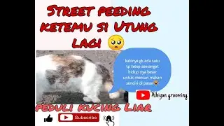 Strett Feeding Pasar Antri