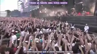 Asian kung fu generation - After dark [Sub Español][Live]