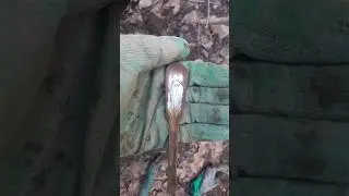 Что за Ложка ! 