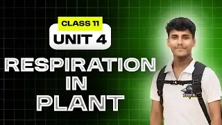 🔴 Respiration In Plant• Class 11 NCERT