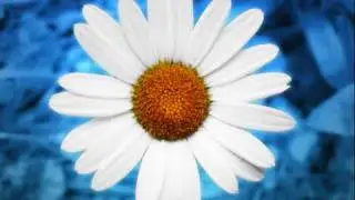 chris barber  , feat.monty sunshine , petite fleur