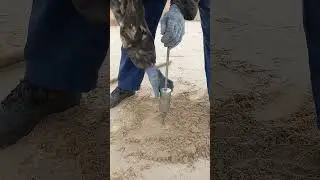 проверка плотности грунта (песка) плотномером, не прошла