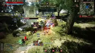 [Black Desert] Succ Maegu - Node War