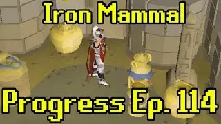 OSRS - 2007 Iron Man Progress Ep. 114 | Iron Mammal