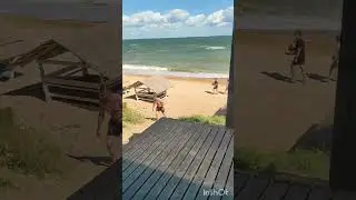 #азовское море 2024.