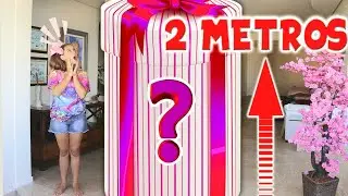 GANHEI UM PRESENTE MISTERIOSO DE 2 METROS DE ALTURA - O QUE SERÁ QUE É?
