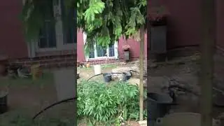 Скважина. Бурение в Калининграде, вода для дома,