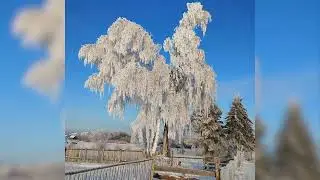 Зима в деревне