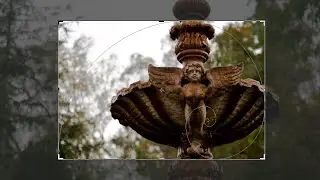 Photoshop Tutorial: Everything You Need to Know About the Crop Tool