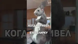 Что еще женщине нужно для счастья