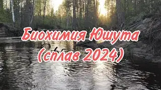 Биохимия Юшута (сплав 2024)