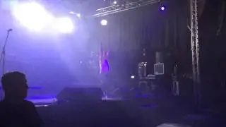 WGT2015 Kohlrabizirkus