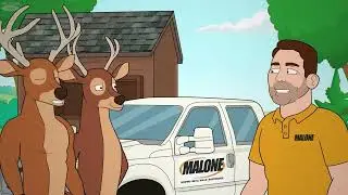 2d cartoon animation video with custom characters