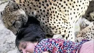 10 Mais Chocantes Ataques de Animais Gravados em Vídeo
