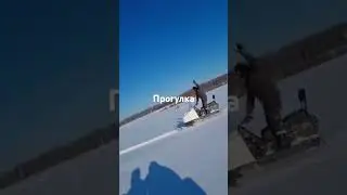 Зимняя прогулка