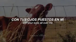 Ethel Cain - Dust Bowl  [Sub Español // Lyrics]