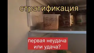 Стратификация. Первая неудача или удача?