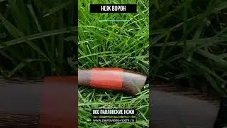 Нож Ворон #нож #обзор #knifeworld #топ