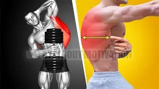 6 Most Important Back Exercises at Gym