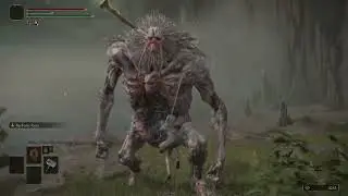 Elden Ring - Godrick the Grafted Training Montage