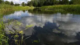 С. Купанское близ Плещеева озера