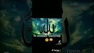 то охирша гушкунед