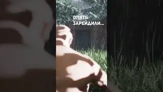 Снова зарейдили 
