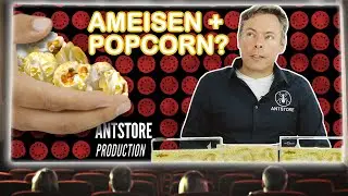 ANTCUBE Popcorn Nest for harvester ants