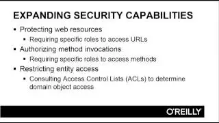 Spring Security 1   Overview