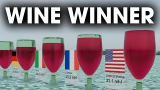 Top 10 Countries that Drink the Most Wine 2024