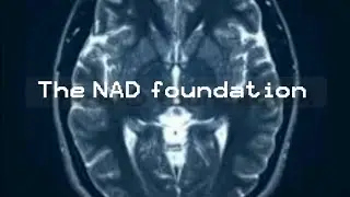 NAD foundation a creepy analog horror series