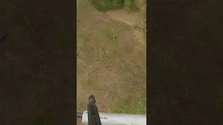 Boar and a sow ‘doing business’ removed in the timber. #business #aerialshooting #conservation