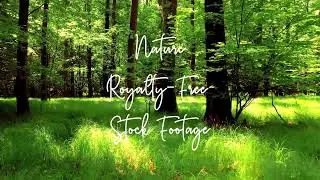 15 Beautiful Nature Stock Footage Royalty-Free, No Copyright, Free Download 