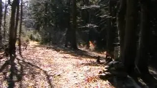 Papradnianskym chotárom - Z Koškovca cez Kykuľu a Čierne na Veľký Javorník