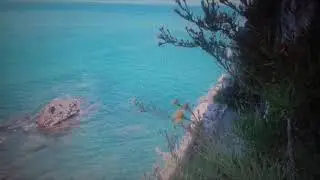 VACANZE SICILIANE   2020