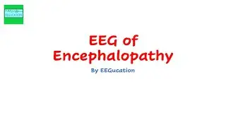 EEG in Encephalopathy