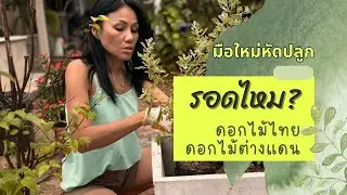 มือใหม่หัดปลูก! จะรอดไหม? ท้าทายกับอากาศเมืองไทย! #livinginthailand