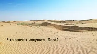 Алексей Дунаев. Тема: Что значит искушать Бога?