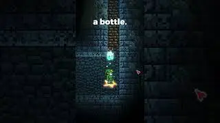 All the Light Pets in Terraria #terraria