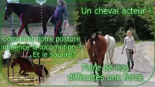 Séances commentées : rendre le cheval acteur et agir sur la locomotion par notre position