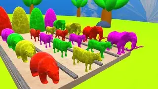 Unbelievable Animal Transformation : Cow, Tiger, Bear and Elephant in a Fountain Crossing
