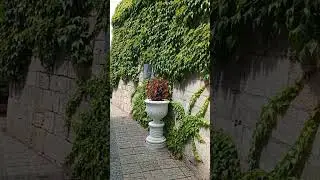 Свято-Георгиевский монастырь на мысе Фиолент.