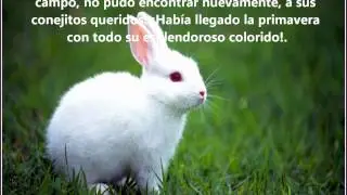 cuento de conejitos.wmv