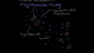 Diffusion und Osmose - Biologie