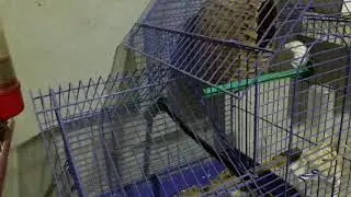 Kanalımıza yeni isim arıyorum yorumla belirleyelim